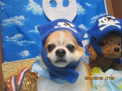 ファイル 7954-1.jpg