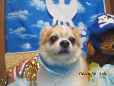 ファイル 7954-2.jpg