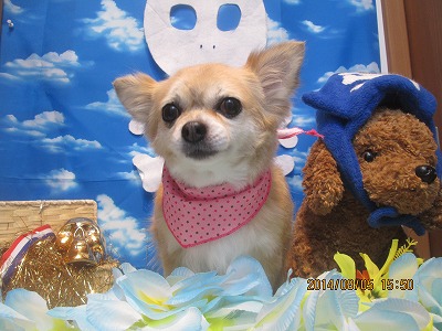 ファイル 7955-2.jpg