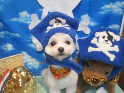 ファイル 7956-1.jpg