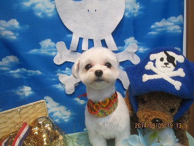 ファイル 7956-2.jpg