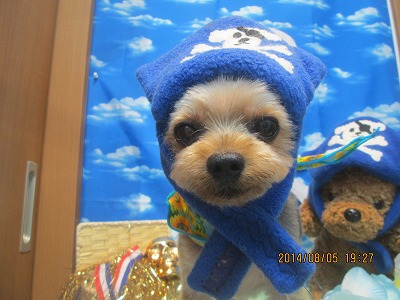 ファイル 7957-1.jpg