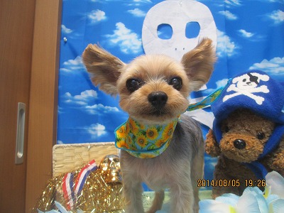 ファイル 7957-2.jpg