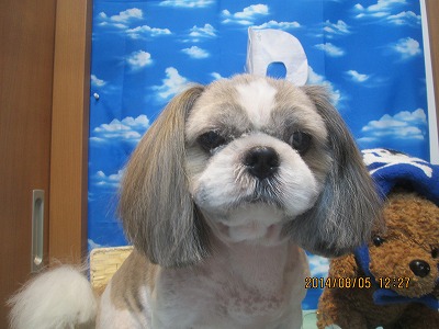 ファイル 7958-1.jpg