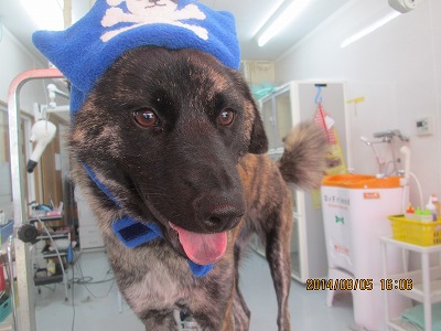 ファイル 7959-1.jpg