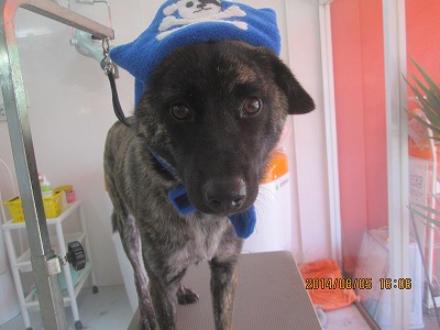 ファイル 7959-2.jpg