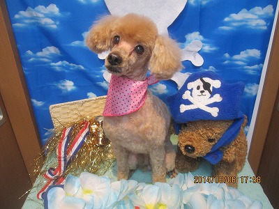 ファイル 7962-2.jpg