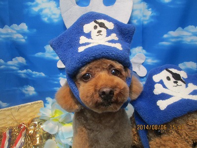 ファイル 7963-1.jpg