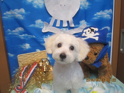 ファイル 7964-1.jpg