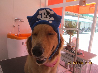 ファイル 7965-2.jpg