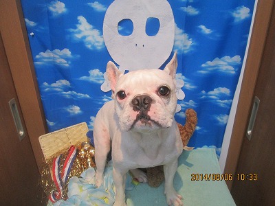 ファイル 7966-2.jpg