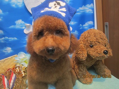 ファイル 7967-1.jpg