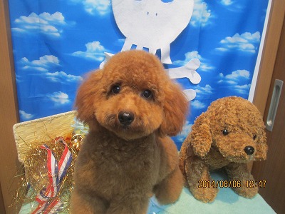 ファイル 7967-2.jpg