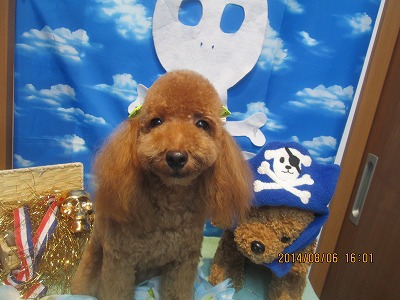 ファイル 7969-2.jpg