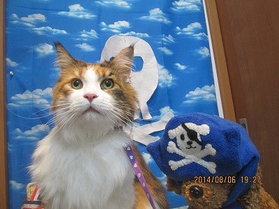 ファイル 7971-1.jpg