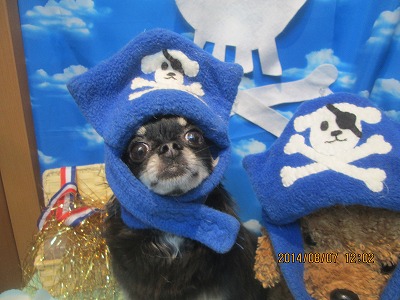 ファイル 7972-1.jpg