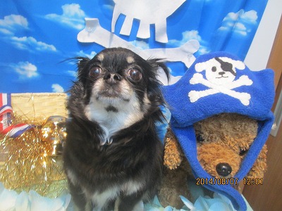 ファイル 7972-2.jpg