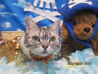 ファイル 7973-2.jpg