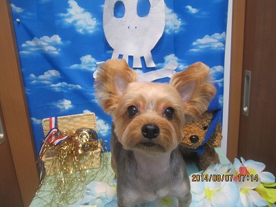 ファイル 7975-2.jpg