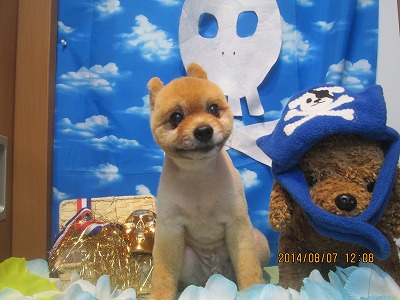 ファイル 7976-1.jpg