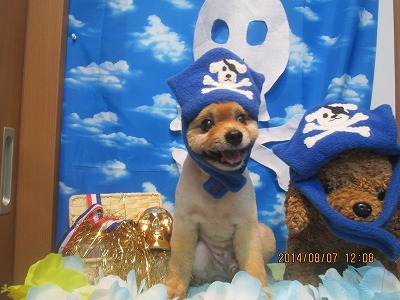 ファイル 7976-2.jpg