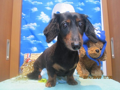 ファイル 7977-2.jpg