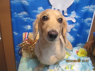 ファイル 7978-2.jpg