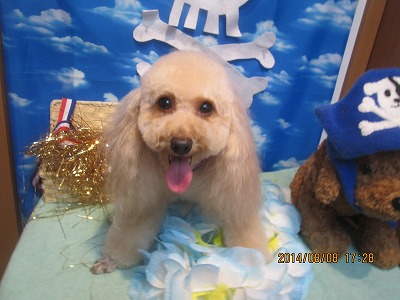 ファイル 7979-2.jpg