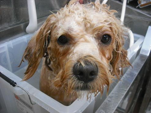 ファイル 798-2.jpg