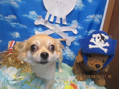 ファイル 7981-2.jpg