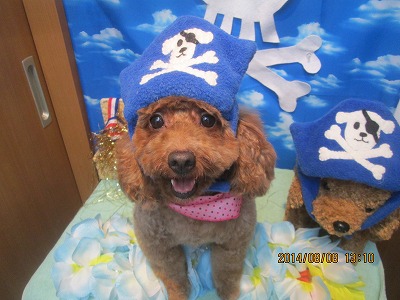 ファイル 7982-1.jpg