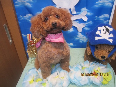 ファイル 7982-2.jpg