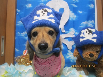 ファイル 7983-1.jpg