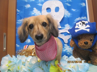 ファイル 7983-2.jpg