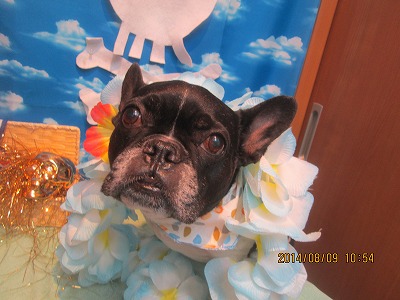 ファイル 7984-1.jpg