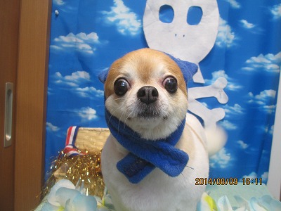 ファイル 7986-1.jpg