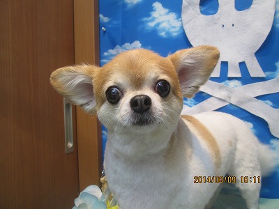 ファイル 7986-2.jpg