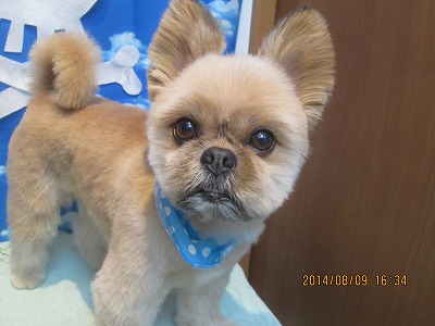 ファイル 7987-1.jpg