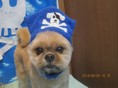 ファイル 7987-2.jpg