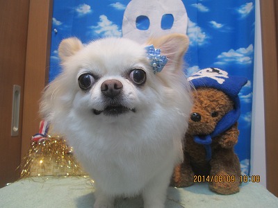 ファイル 7989-2.jpg