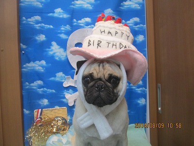 ファイル 7990-1.jpg