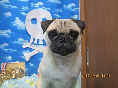 ファイル 7990-2.jpg