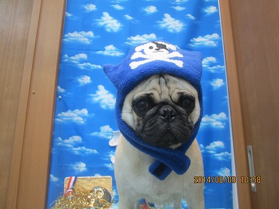 ファイル 7990-3.jpg