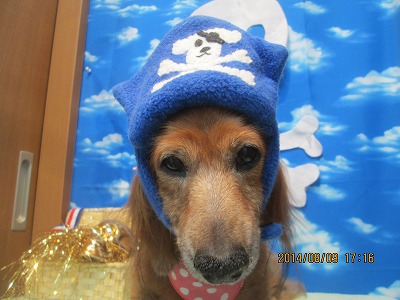 ファイル 7991-1.jpg