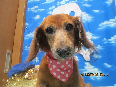 ファイル 7991-2.jpg