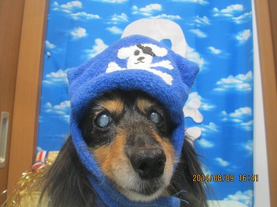 ファイル 7992-1.jpg