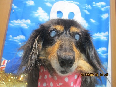 ファイル 7992-2.jpg