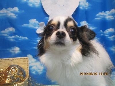 ファイル 7993-2.jpg