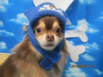 ファイル 7994-1.jpg