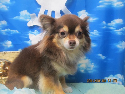 ファイル 7994-2.jpg